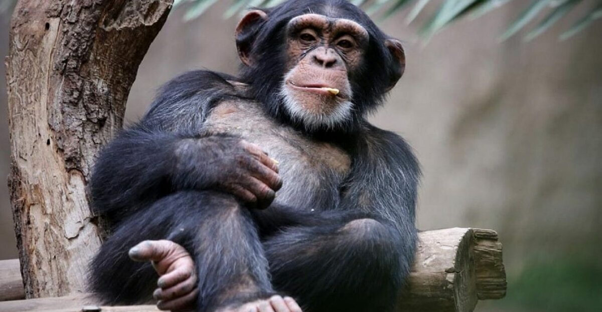 Завещатели и наследники: новая тенденция в России 2024 и самые необычные случаи в мире