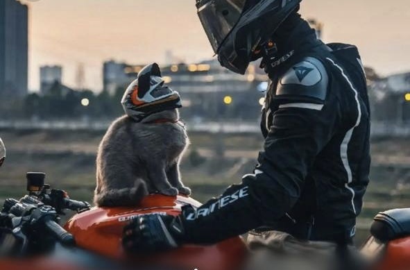 После покупки мотоцикла продавец не отдает документы – что делать?