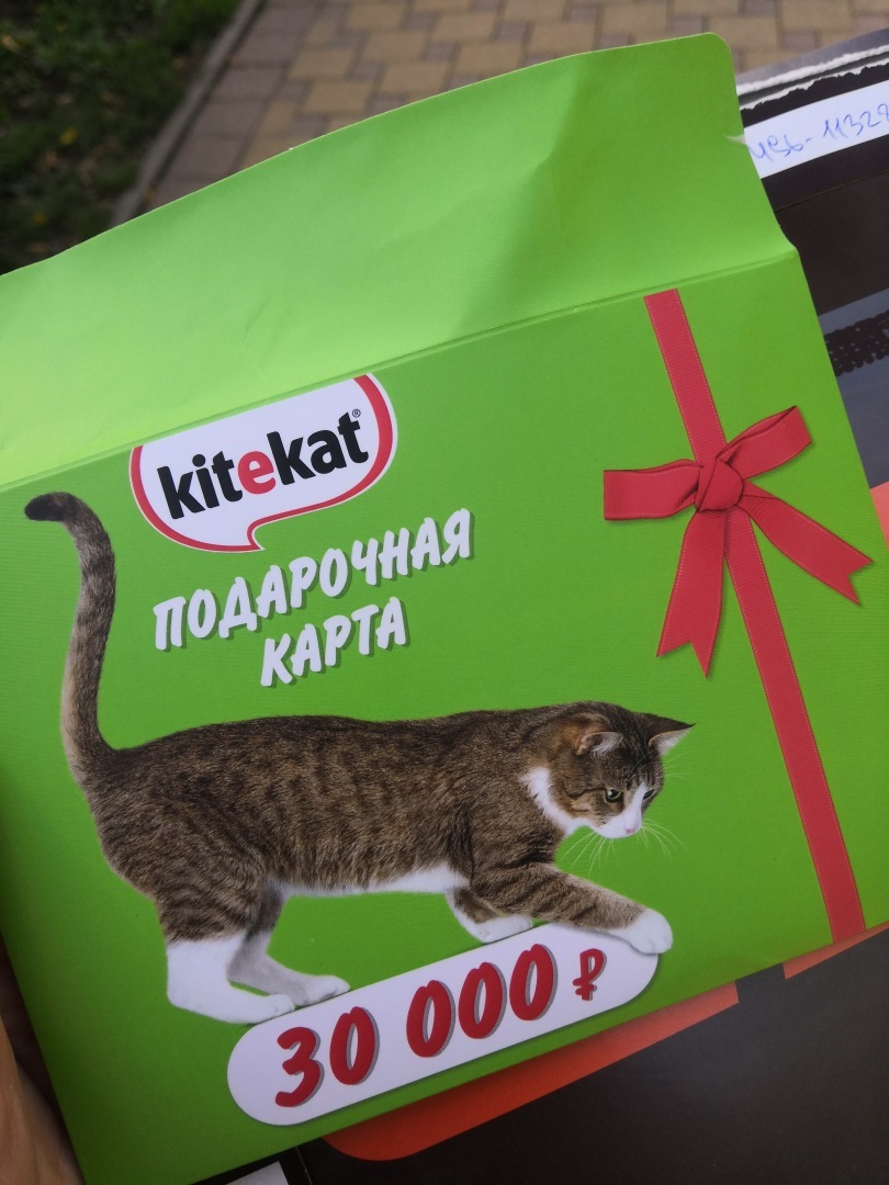 Розыгрыши, лотереи – возможно ли выиграть? А если без вложений? Всё ли честно? Наш опыт и сколько максимум получилось выиграть