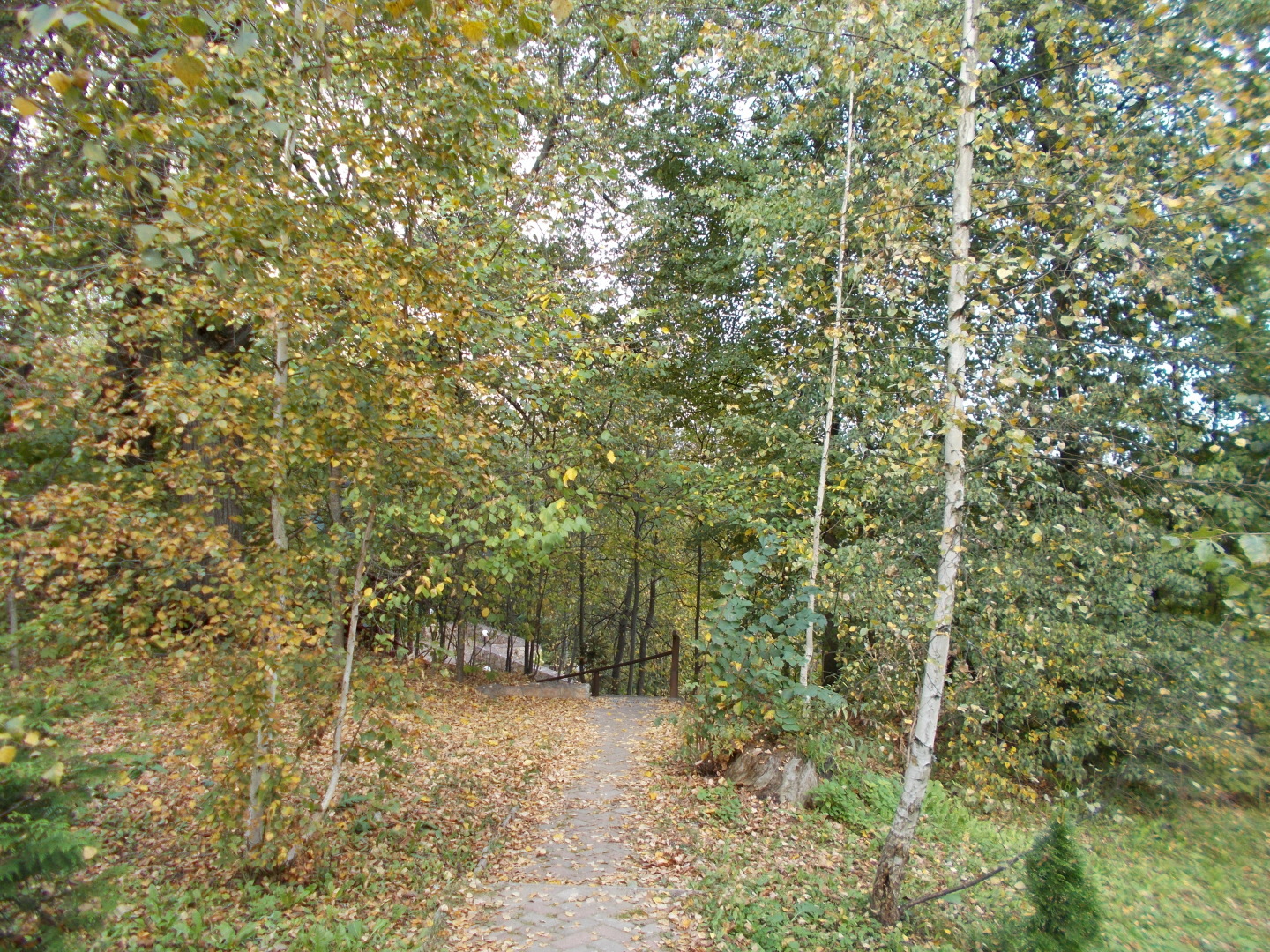 Середниково. Наши прогулки по удивительным Лермонтовским местам