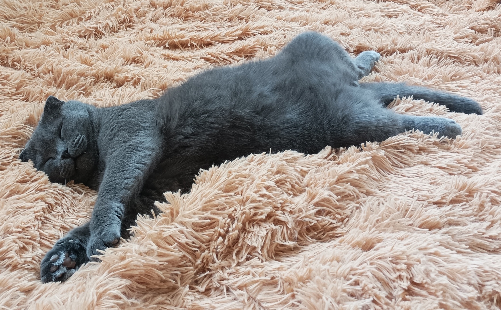 Розыгрыши, лотереи – возможно ли выиграть? А если без вложений? Всё ли честно? Наш опыт и сколько максимум получилось выиграть