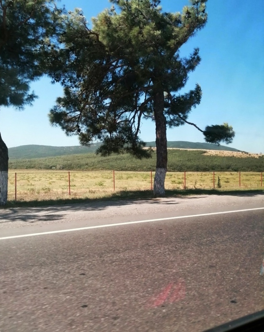 Автобусом к морю. Незабываемые впечатления.