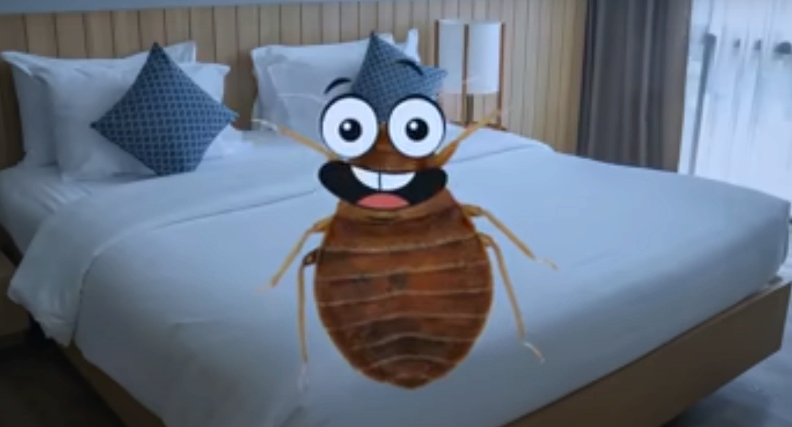 Моя первая "военная кампания против клопов в Москве": сомнительный моджахед "сделал" своё дело