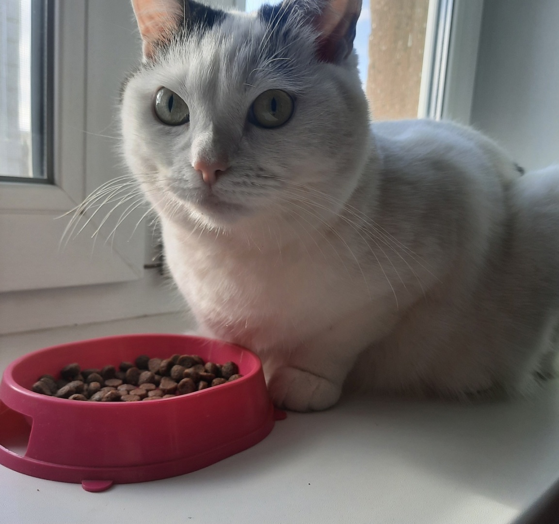 Сама себе блогер. Как я получаю различные товары за отзыв