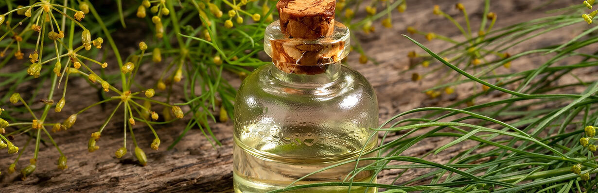 Укроп: от семечек до мощного лекарства!