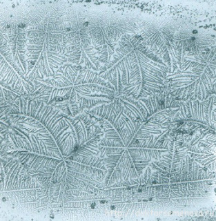 Гинеколог предложил сделать посткоитальный тест