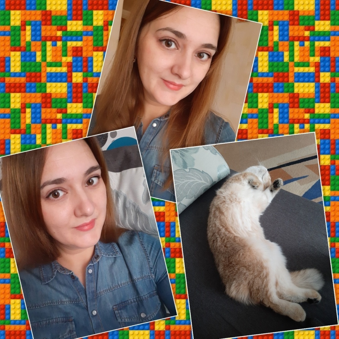 Мой лучший друг – кот Зевс, или Как этот маленький комочек принес столько счастья и тепла в наш дом