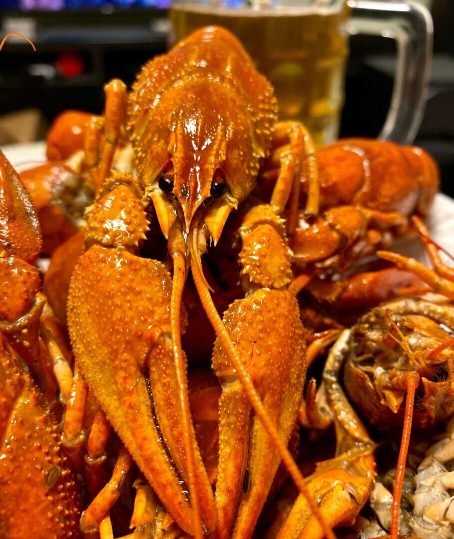 В Ростове этот деликатес едят как семечки, хотя цена на него кусается.