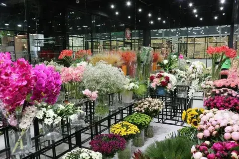 Необычные виды растений для дома и сада в Леруа Мерлен