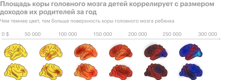 Деньги, любовь и уловки маркетологов