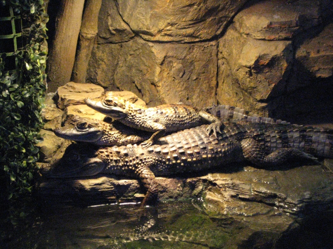 Мой летний отдых в поселке Лазаревское: мы обязательно еще вернемся в эту почти домашнюю атмосферу