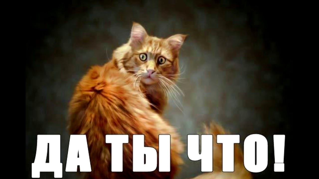 «Наступает Новый Год, что он людям принесет?"