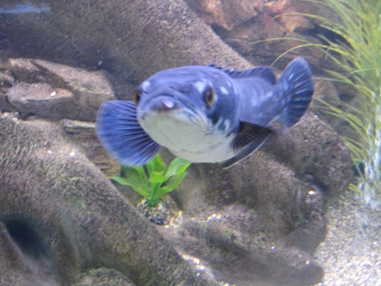 Мой летний отдых в поселке Лазаревское: мы обязательно еще вернемся в эту почти домашнюю атмосферу