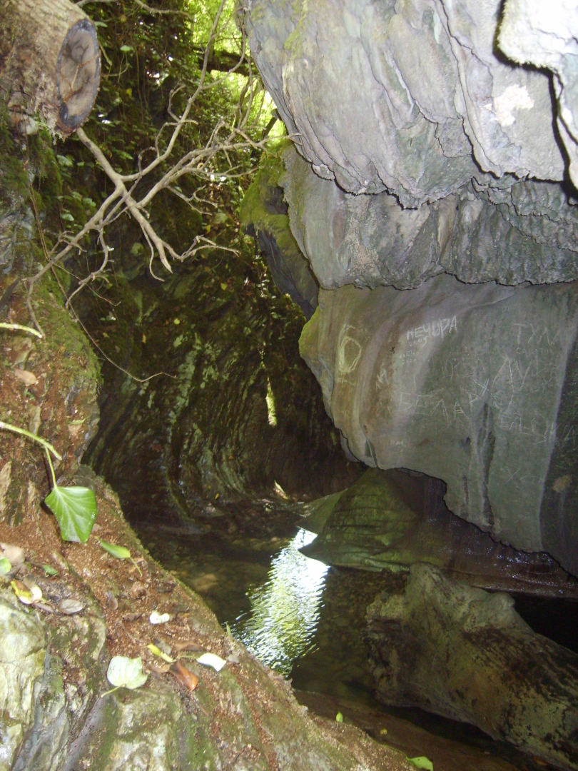 Наша экскурсия по Крабовому ущелью. Лазаревское. Лес, водопады, живописный каньон и необыкновенный заряд бодрости!