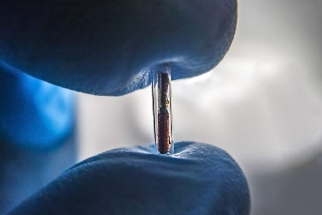 Зачем россияне вживляют себе чипы