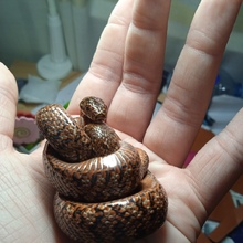 Соня, г. Фрязино