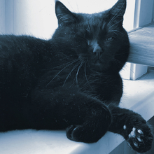 Сольжиграсова Туяра Николаевна, г. Якутск