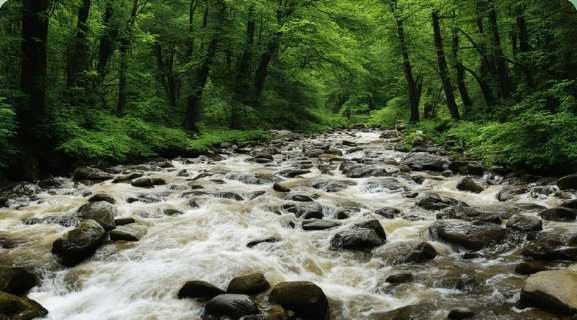Сказка о Пробуждении Весны в Лесу !