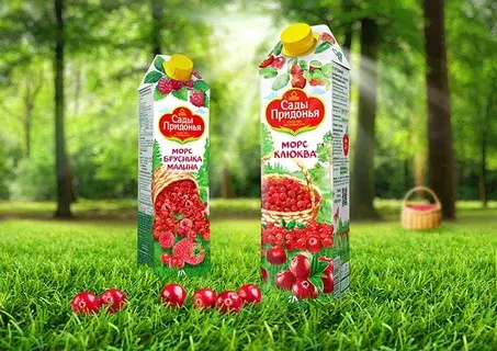 Мой первый опыт работы в студенческие годы: сбор яблок в садах Придонья.