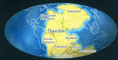 В 1912 г. ученый А. Вегенер обратил внимание, что каменный уголь залегает во всем Северном полушарии, хотя получается...