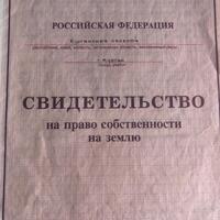 IMG-20240326-WA0003.jpg