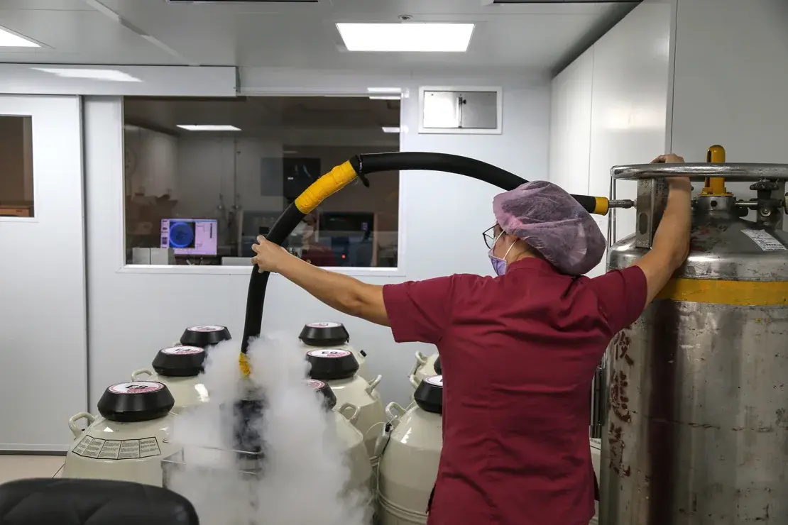 Тайваню нужно больше детей. Но консервативные традиции сдерживают некоторые решения проблемы рождаемости