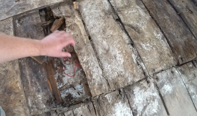 «А вы линолеумом закройте» – как мы дом себе искали и какую развалюху предложила нам риелтор