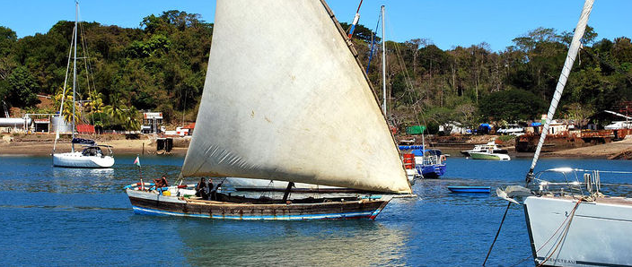 "Мадагаскар: Островное приключение среди чудес природы"