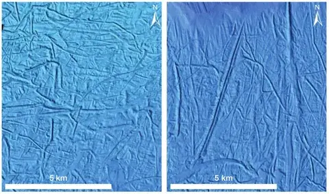 На дне некоторых северных морей на относительно небольшой глубине можно обнаружить пропаханные борозды, длина которых достигает сотен...