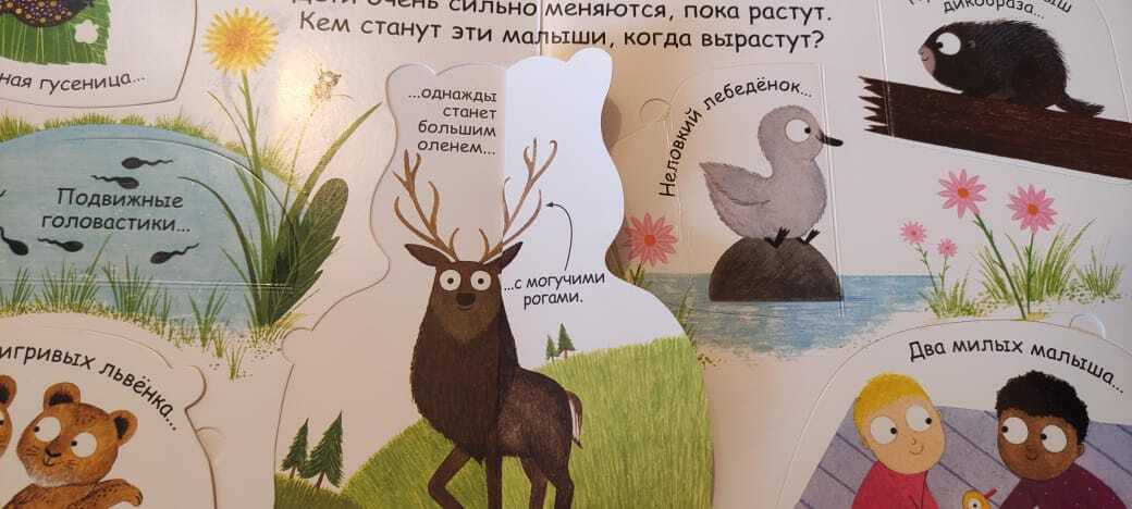 Первая книга для малышей ответит на вопрос, откуда дети берутся. Красивые иллюстрации – идеально для малышей!