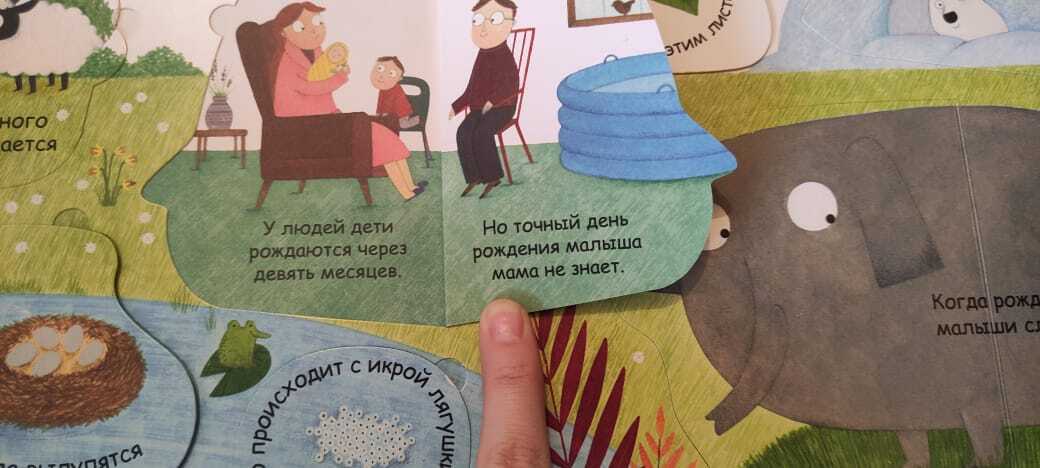 Первая книга для малышей ответит на вопрос, откуда дети берутся. Красивые иллюстрации – идеально для малышей!