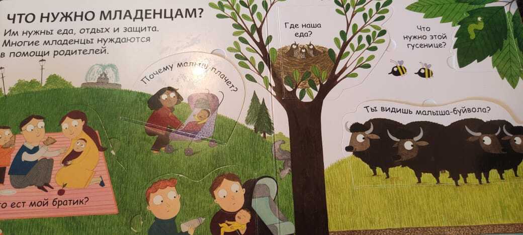 Первая книга для малышей ответит на вопрос, откуда дети берутся. Красивые иллюстрации – идеально для малышей!