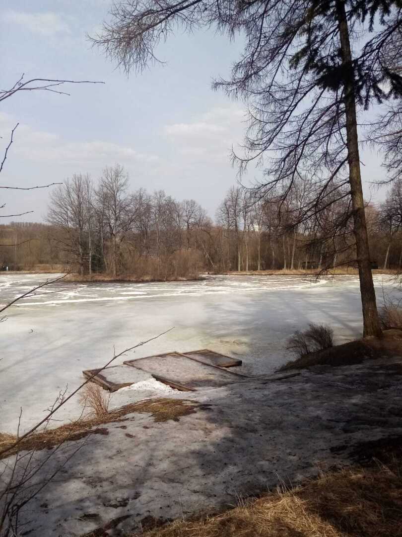Ранняя весна в парке. Барский пруд, родник и пробудившаяся лягушка. Прекрасное место для отдыха!