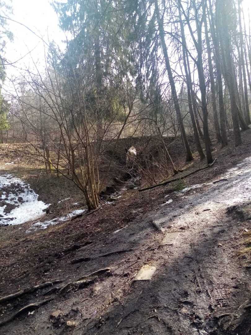Ранняя весна в парке. Барский пруд, родник и пробудившаяся лягушка. Прекрасное место для отдыха!