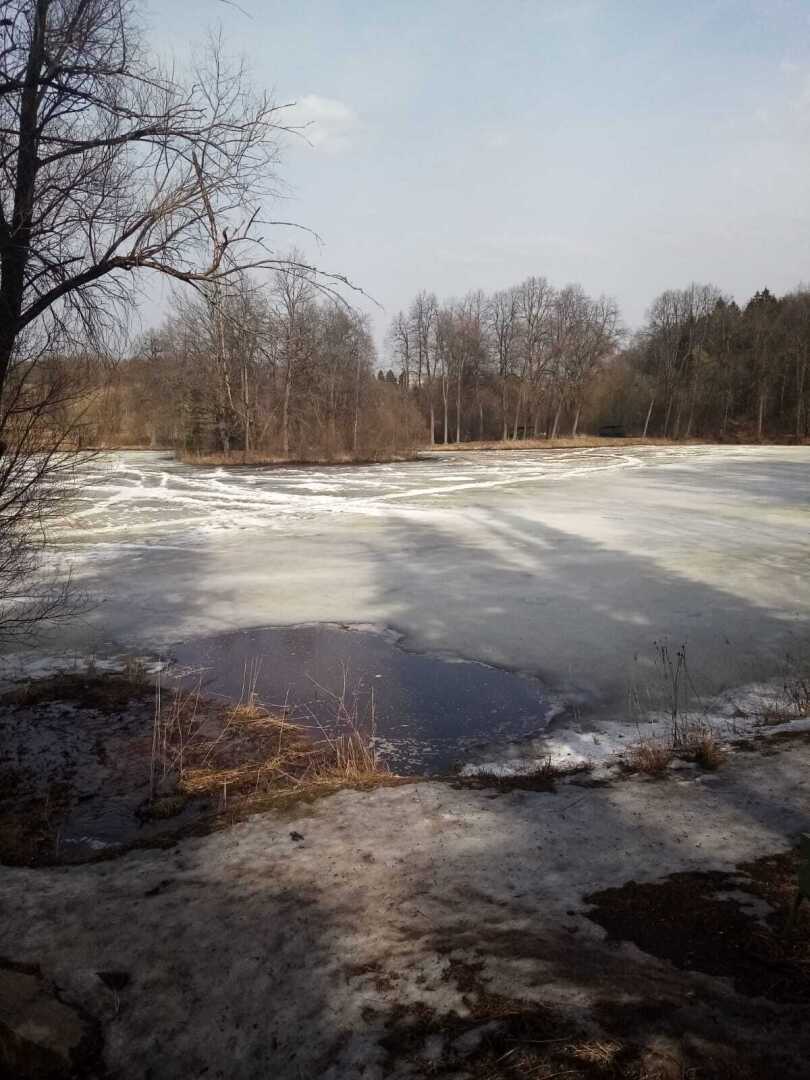 Ранняя весна в парке. Барский пруд, родник и пробудившаяся лягушка. Прекрасное место для отдыха!