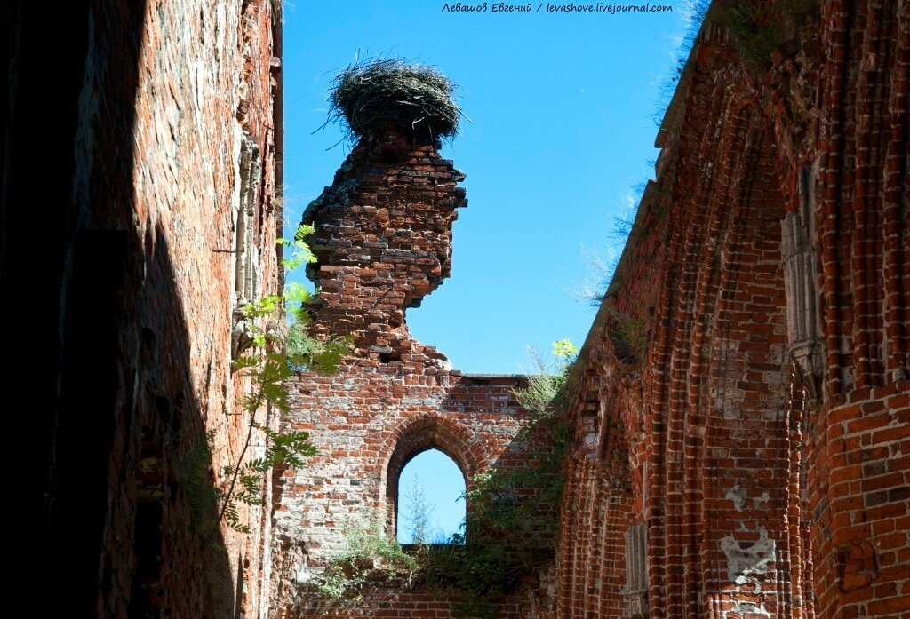 Место силы в Знаменске: «эту Кирху охраняет сильный ангел»… Или языческие Боги?