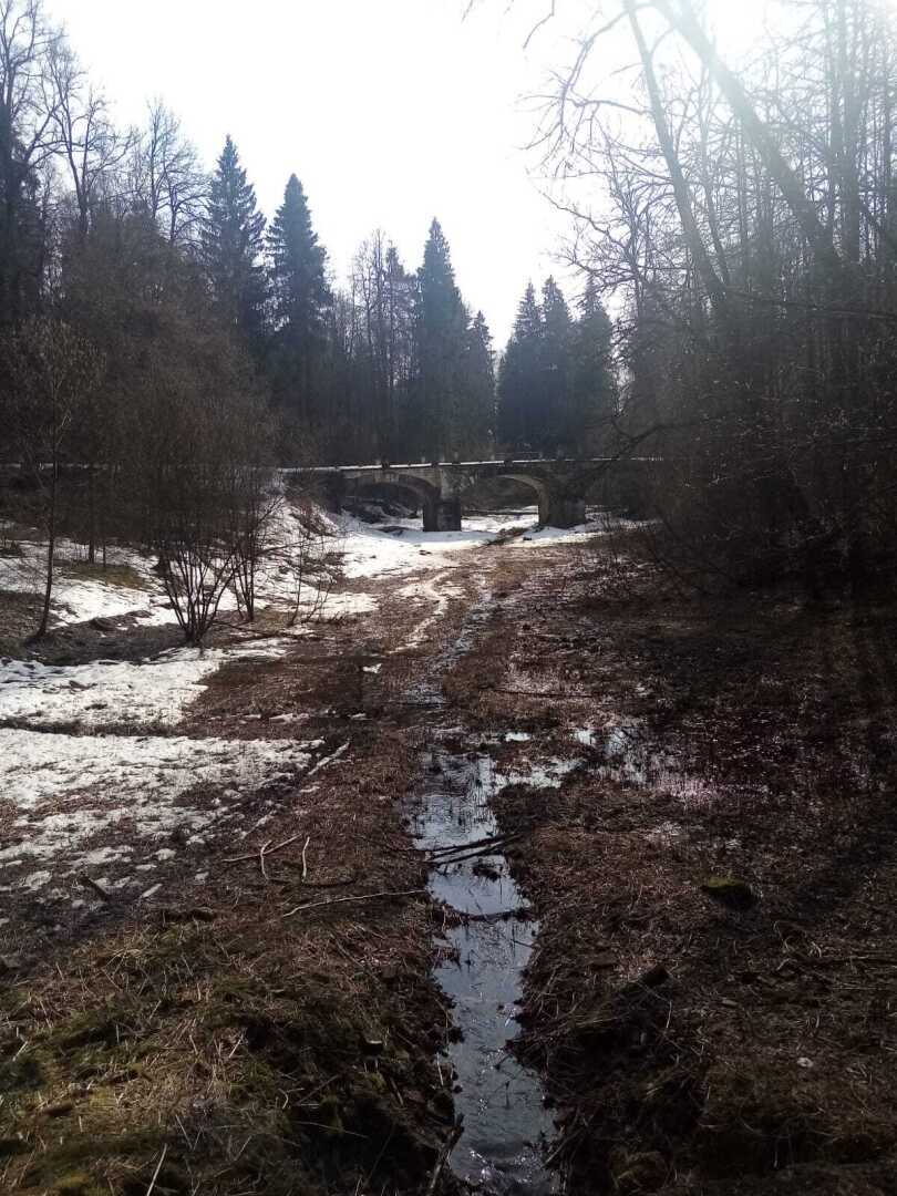 Ранняя весна в парке. Барский пруд, родник и пробудившаяся лягушка. Прекрасное место для отдыха!