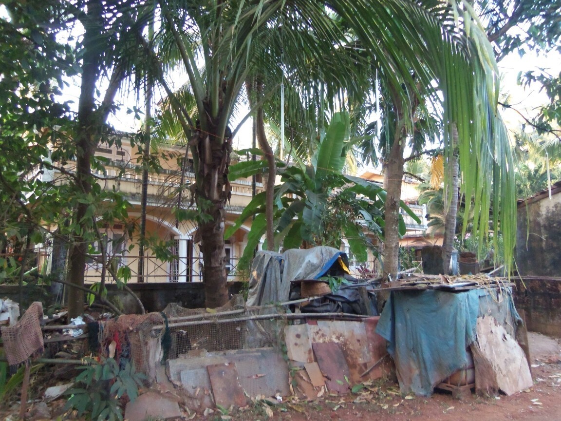 ГОА. Как мой райский отдых чуть не обернулся катастрофой