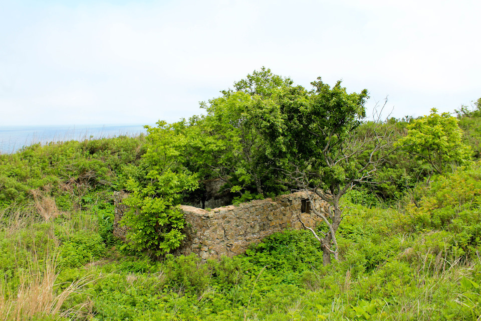 Папирология Русского.