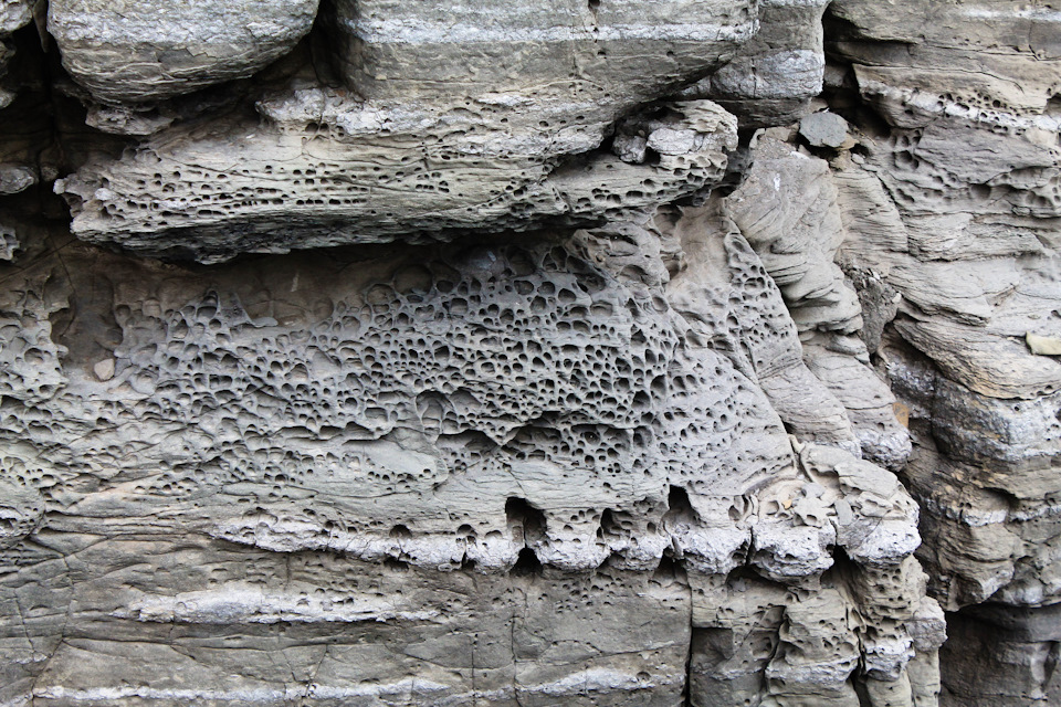 Папирология Русского.