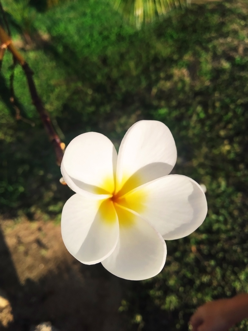 Кубинские каникулы моей подруги: впечатления, минусы, мечты и предпосылки поездки