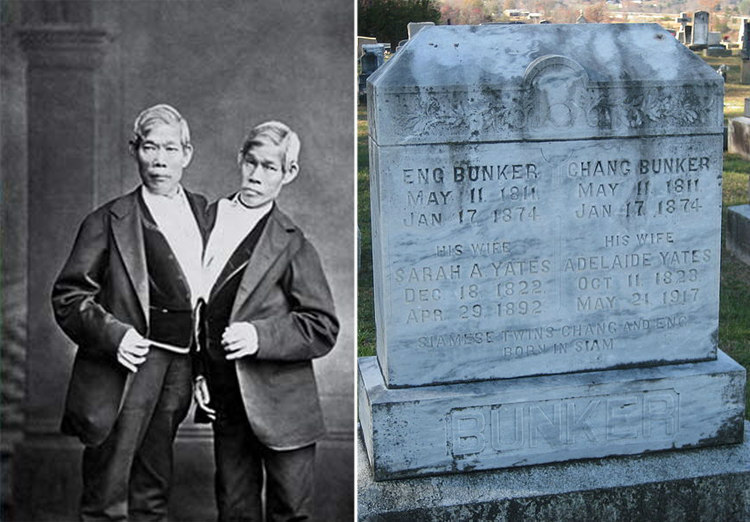 Жизнь сиамских близнецов: владевших фермой, двумя женами и 21 ребенком