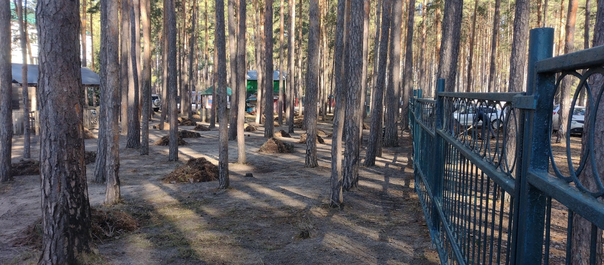 Я люблю работать !