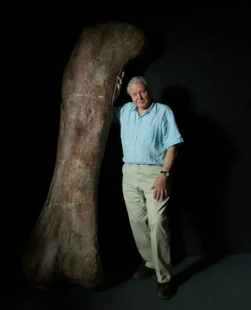 Самый большой динозавр из когда-либо обнаруженных достигал в длину более тридцати метров и весил более восьмидесяти тонн