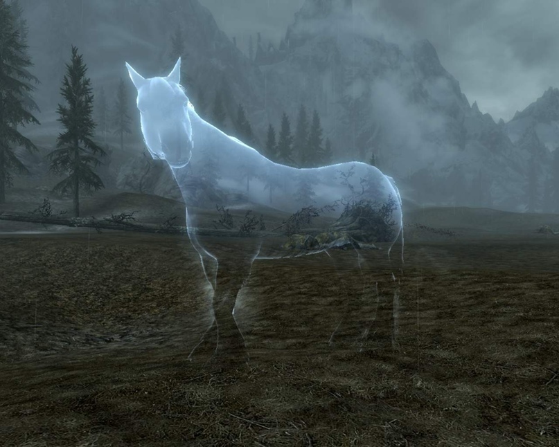 Тайная сила кладов