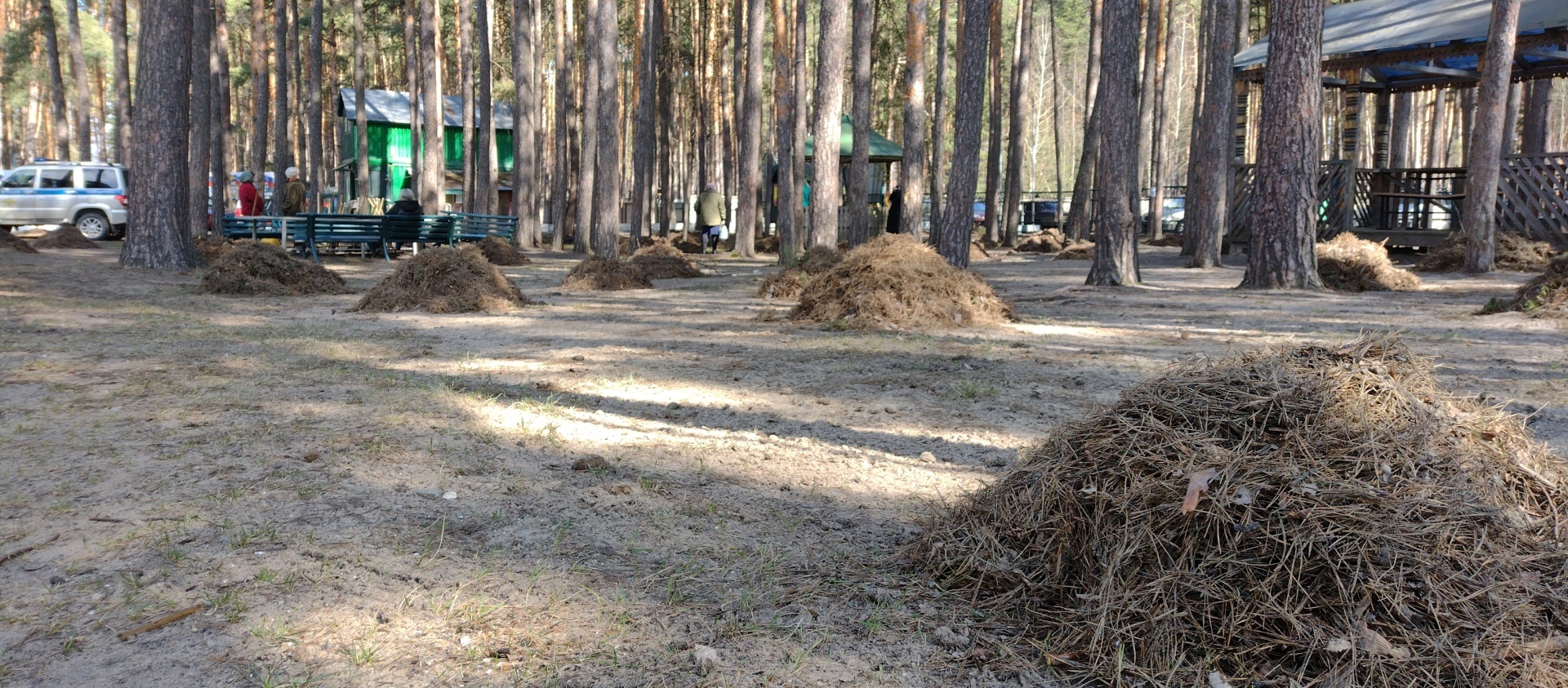 Я люблю работать !