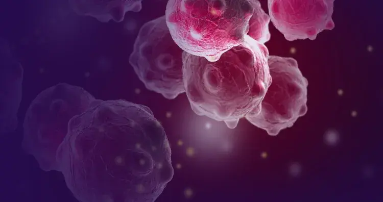 Зачем у мужчин есть соски? И служат ли они какой-либо цели?