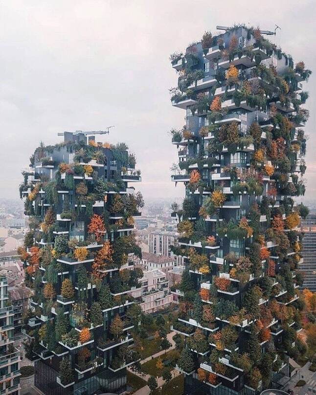 Архитектура в сочетании с природой.