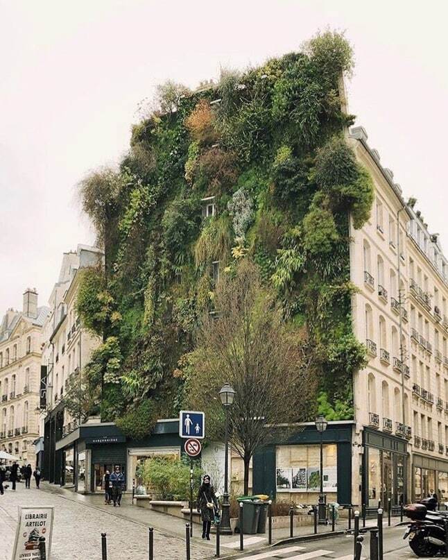 Архитектура в сочетании с природой.