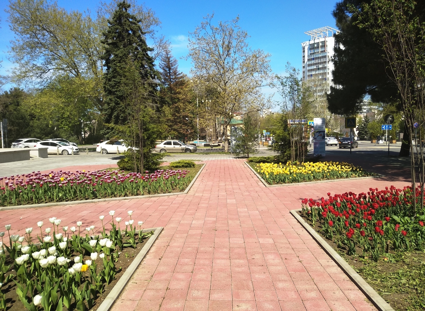 Тюльпановая Анапа 2024. Весна началась с лета, тепло за +20 🌷🌷🌷